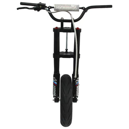 Electric Bicycle Front Fork with Aluminum Wheel and Disc Brake Without Throttle,DC,Display
