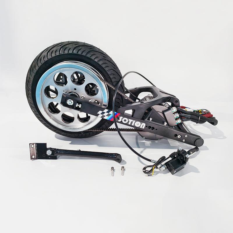 Fw01 Belt Chain Aluninum Swing Arm with 10 Inch Rear Wheel