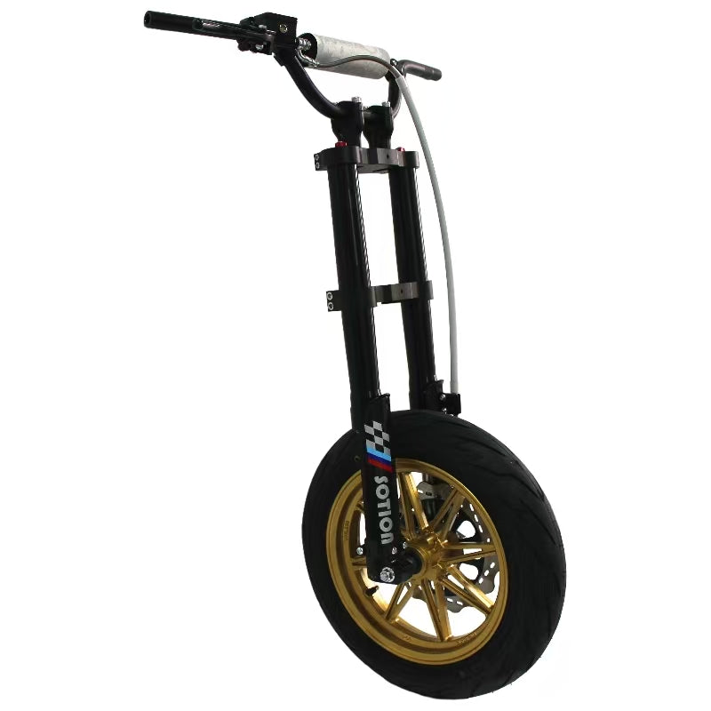 Electric Bicycle Front Fork with Aluminum Wheel and Disc Brake Without Throttle,DC,Display