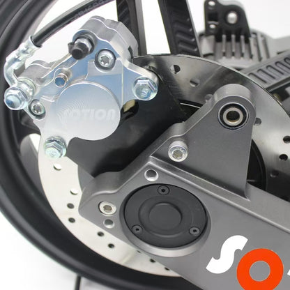 FW28 SOTION Gear Motor Side 5950 RPMM Motor 14inch Wheel Swing Arm for Electric Bike
