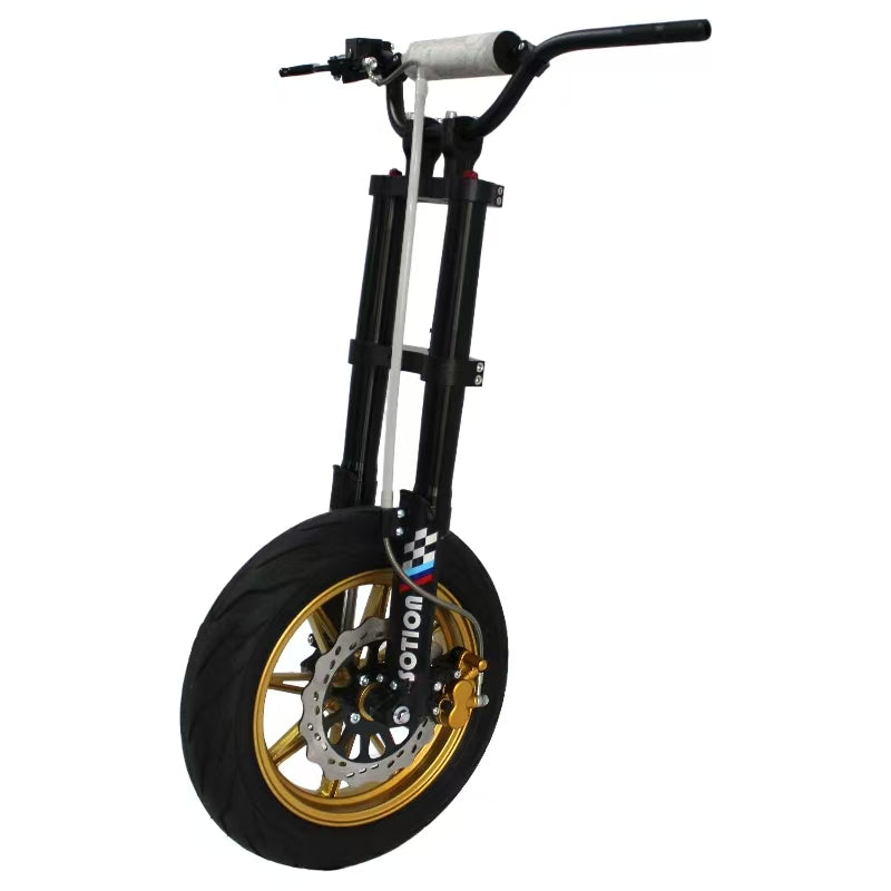 Electric Bicycle Front Fork with Aluminum Wheel and Disc Brake Without Throttle,DC,Display