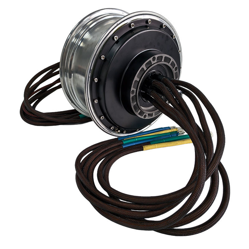 SOTION Dragon 01 Brushless Hub Drive Motor 50KW IP67 Waterproof High Rotational Speed for Rear Wheel